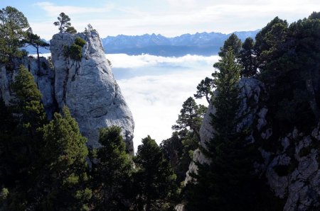 Ambiance dans le haut du cirque