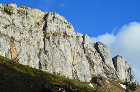 Ranc des Agnelons