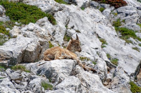 C’est l’heure de la sieste