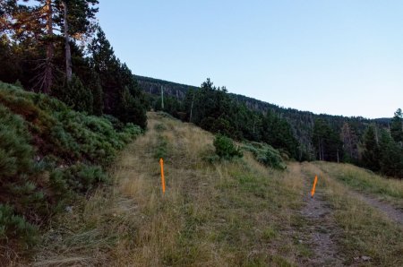 Quitter la piste pour la trouée sur la croupe