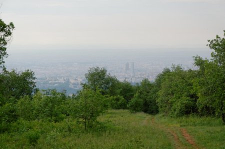 Vue sur Lyon