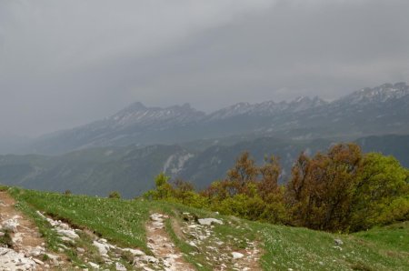 Sur la crête des Gagère