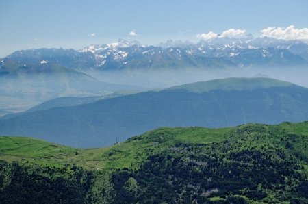 Meije, Pic Gaspard / Tête de la Gandolière, Aiguille du Plat de la Selle, Grande Ruine, Pic Bourcet / Muzelle / Barre des Ecrins