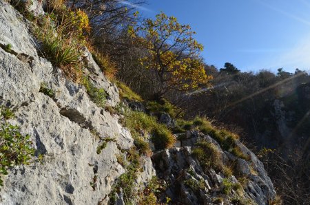 Petit passage en escalier