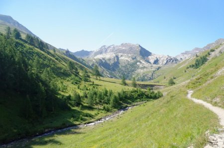 Vallon du Lauzanier