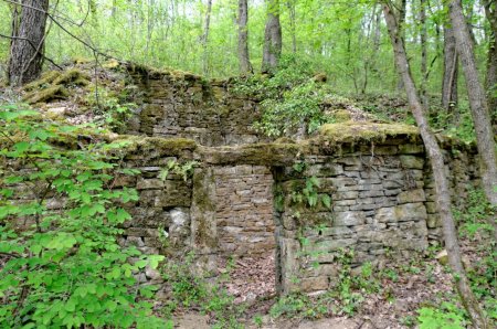 Ruine dans la forêt