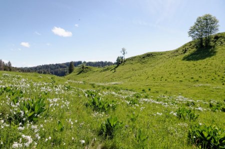 Du côté de À Malatrait