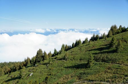 Brume sur Grenoble et la Chartreuse