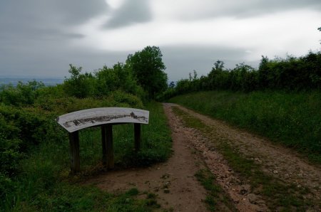 Pas de vue aujourd’hui !