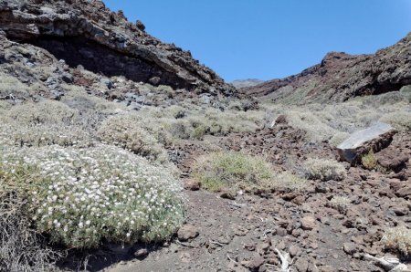 Le vallon entre deux coulées de lave