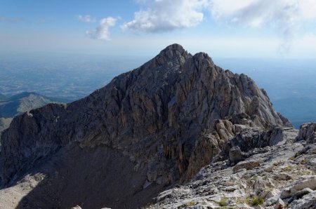 Cimes centrale et orientale