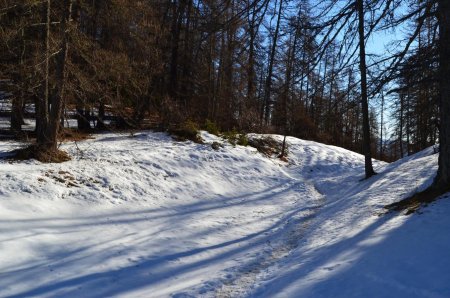 On trouve un peu de neige dans les secteurs protégés de l’ensoleillement par la forêt mais surtout de la glace