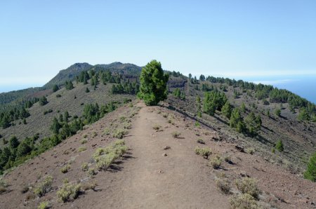 Croupe sommitale et la Cumbre Vieja