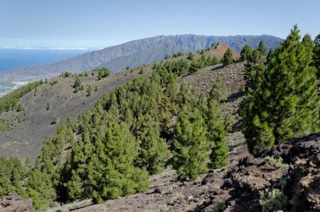 Arrivée au sommet de la Montaña La Barquita