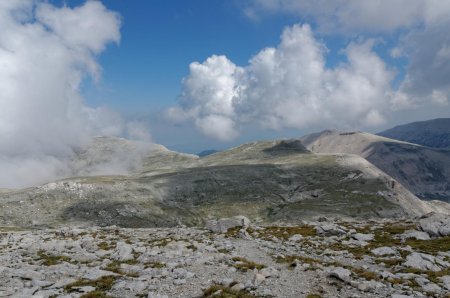 Nebbia ou pas nebbia ?