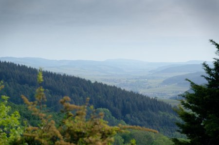 Mont Saint-Romain (579 m)