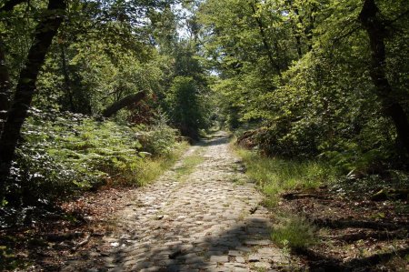 Route pavée du Luxembourg