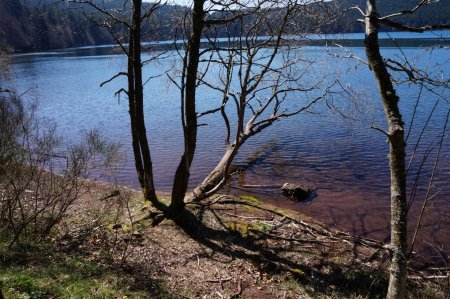 Le lac du Bouchet, aux mille reflets...