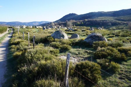 Les Cévennes, enfin