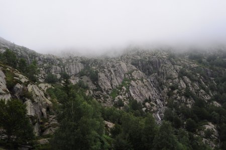 En sortant de la forêt