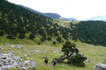 Le 16/08/2010, après la découverte de la Fenêtre, nous nous dirigerons vers la Source de Freydières en traversant la Combe de Rocher de la Fenêtre.