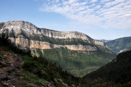 Massif de Faja de las Flores