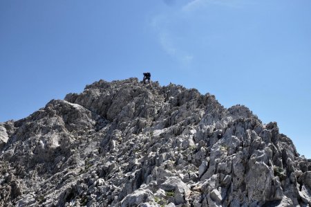 Crête sommitale du Billare