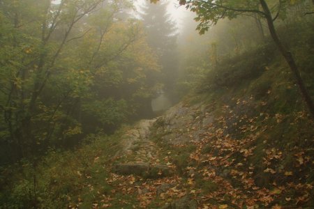 Descente vers Allevard