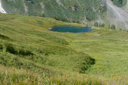 des pentes herbeuses fleuries, souvent raides mais sans risque.