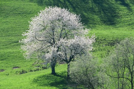 Je ne m’en lassais pas le jour de la rando il y a 1 an, en prenant les photos. Et c’est la même chose 1 an après, en regardant les photos.