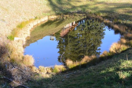 La mare miroir.