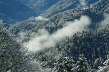 En chemin, entre l’Auberge du Schiessroth et le Col du Schaeferthal, zoom vers la Vallée de la Wormsa, avec un peu d’évaporation.