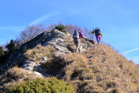 En crête.