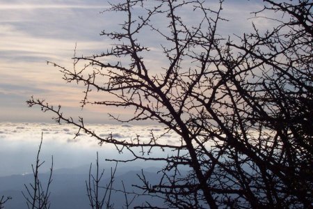 vallée de l’Asse dans la brume en hiver