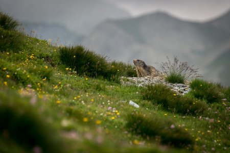 Jour 3 : Lago Visaisa - Lacs de Marinet