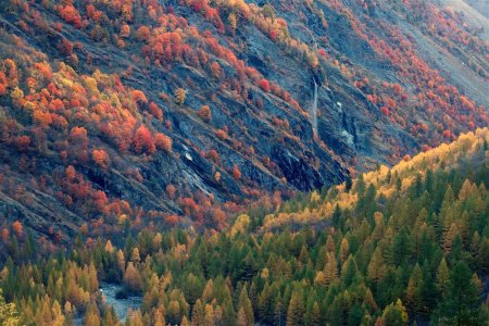 Superbes contrastes de saison