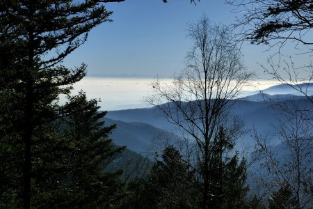 Et même, tout au fond, une frise d’Alpes suisses