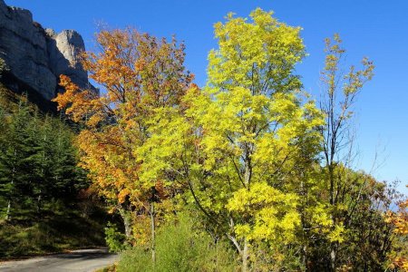 Retour sur la route, au pied des Trois Becs