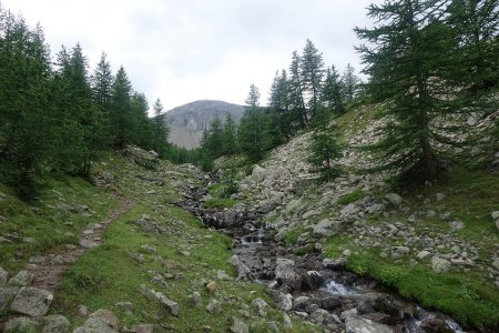 Vallon de la Braisse