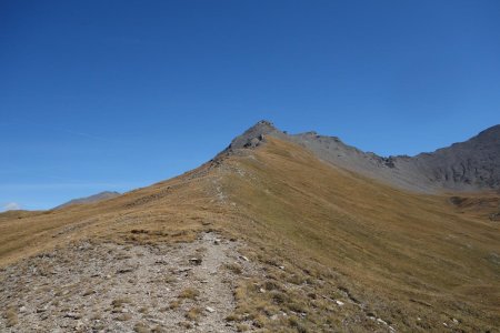 Une sente se dessine sur la ligne de crête