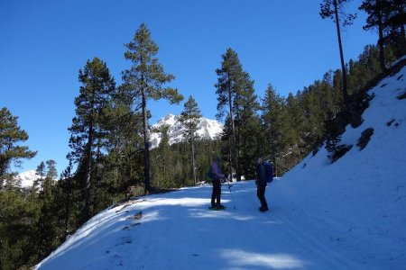 Sur la piste de fond