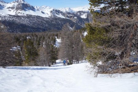 Dans la descente