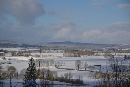 Le Mont Poupet au fond