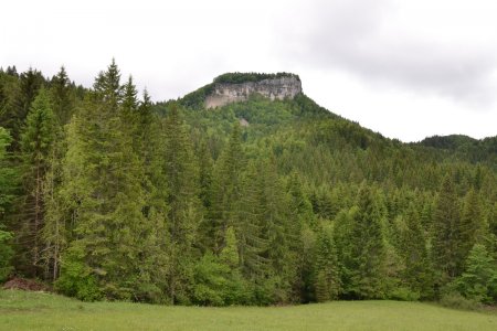 Il est photogénique d’ici !