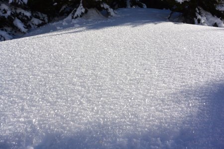 Paillettes de givre en surface.