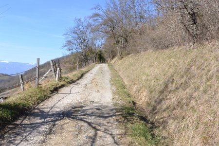 Départ tranquille sur une belle piste ...