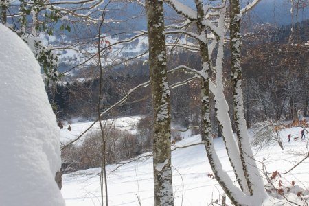 Vue sur le chemin de retour