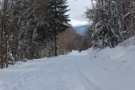 A pied en luge ski raquettes est même a cheval