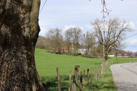 Château de Conzié