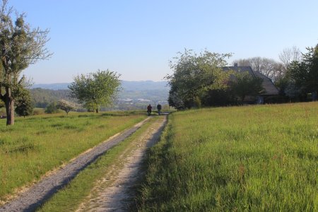 Chemin plateau D’Ansigny